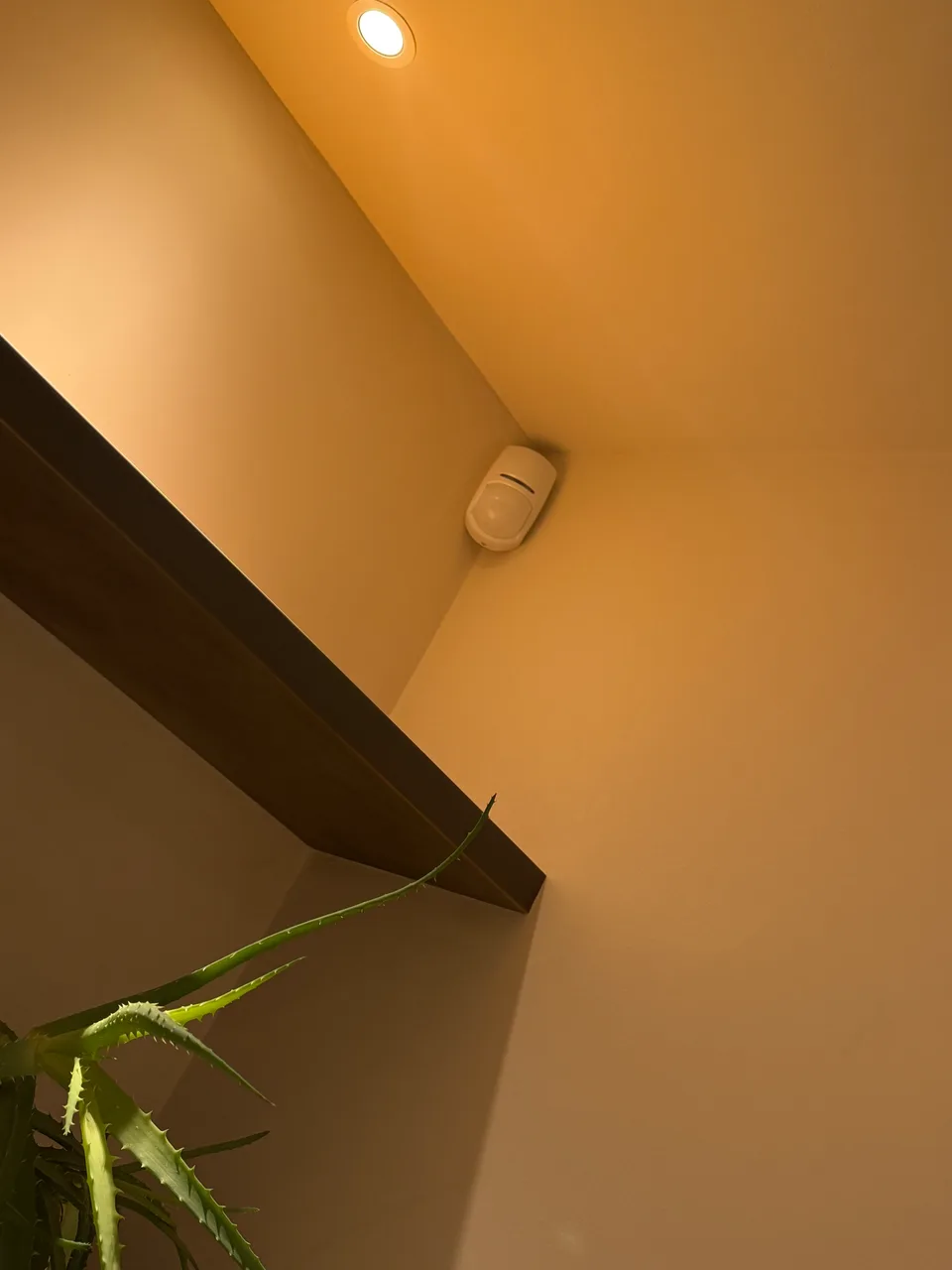 Motion detector mounted high in a room corner beside a doorway